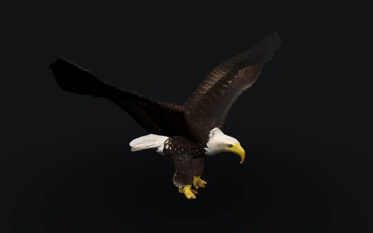 A rigged eagle made by MASHBOX Creature